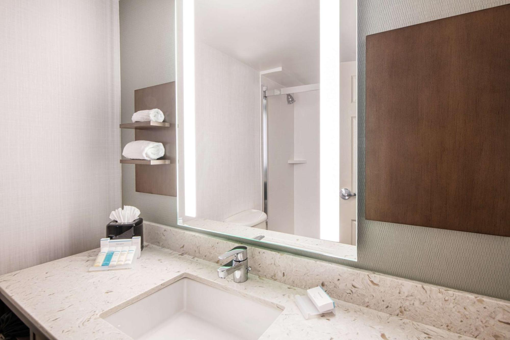 Hilton Garden Bwi Airport Linthicum