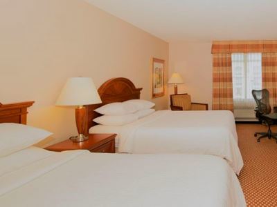 Hilton Garden Bwi Airport Hotel 3*